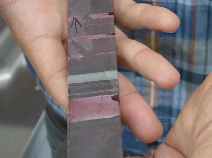 3.23-billion-year-old rock core sample found in South Africa.  