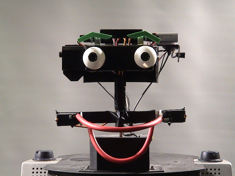Erwin the friendly robot