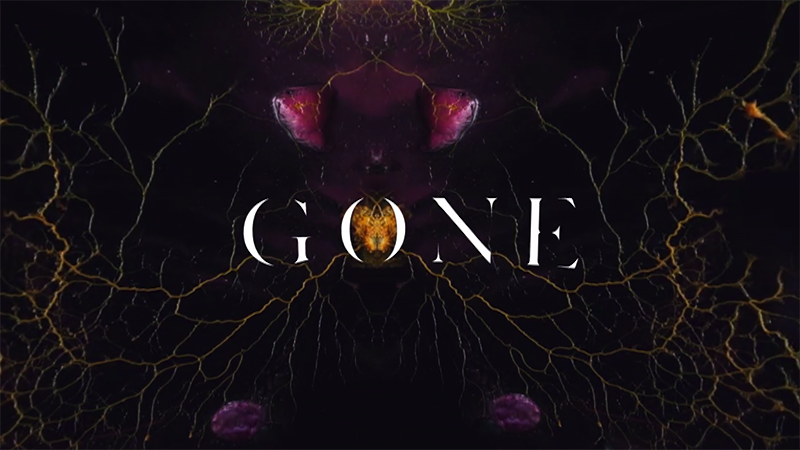 Samsung And 'The Walking Dead' Team In New Virtual Reality Thriller 'Gone'