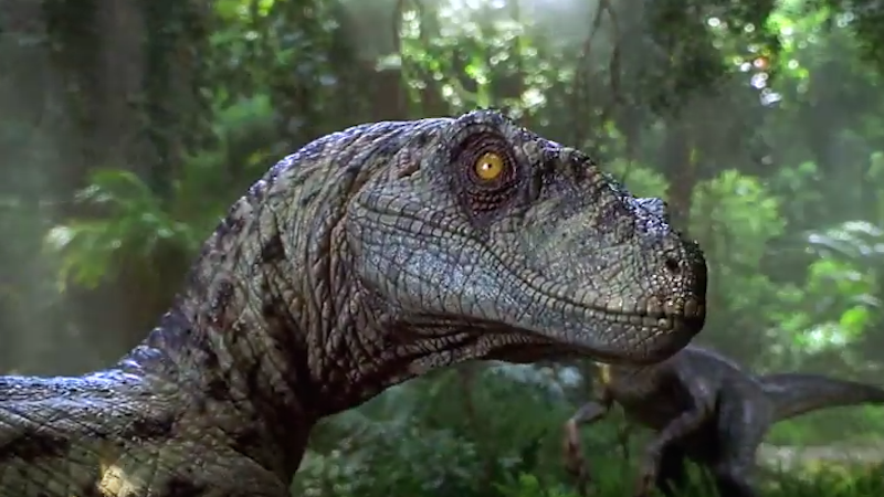 Watch This Sweet Take On Dinosaurs In This Re-imagining Of 'Jurassic Park' As A Nature Documentary 