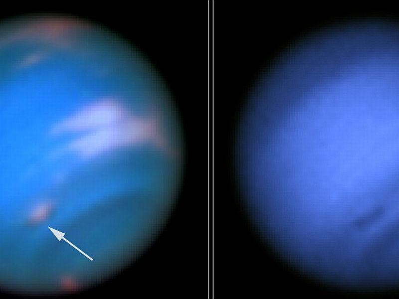 Neptune Spot