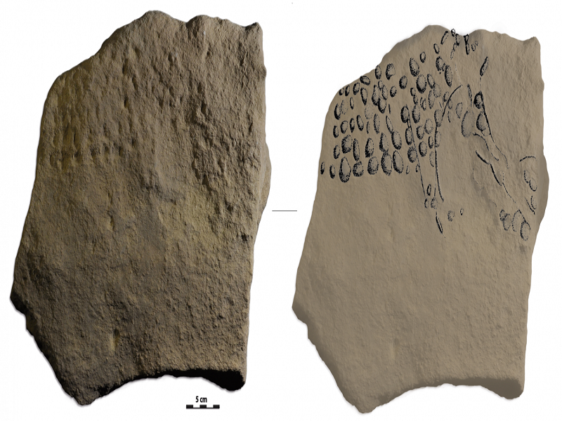 Limestone slab containing ancient engravings