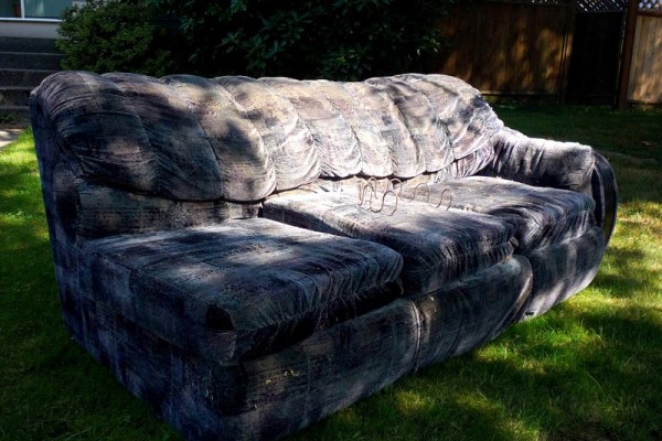 Buy Used Couch On Craigslist Get Bedbugs For Free Tech Times