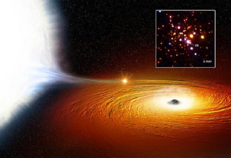 White Dwarf Star In Orbit Around A Black Hole