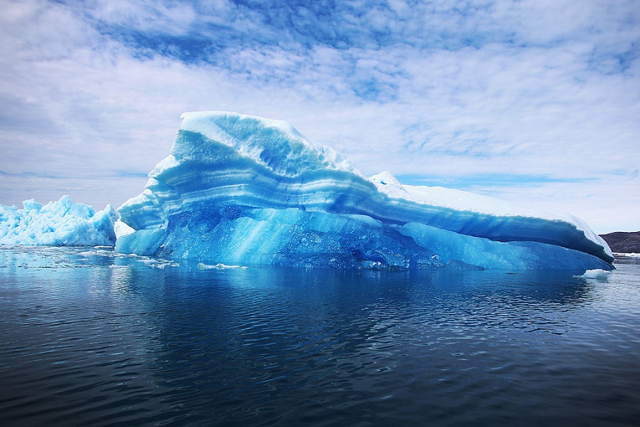 Calved icebergs floating on the water