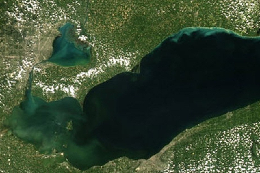Potentially Harmful Algal Bloom Expected In Western Lake Erie This Summer