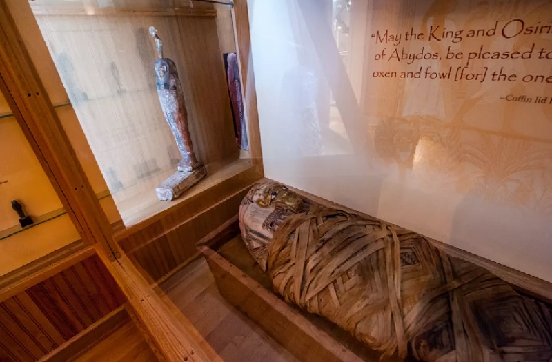 2,000-Year-Old Egyptian Mummy Taken To Hospital For Medical Testing