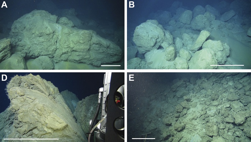Seafloor Products Of The Havre Submarine Eruption In 2012