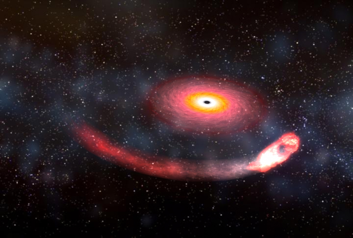 Black Hole And Neutron Star
