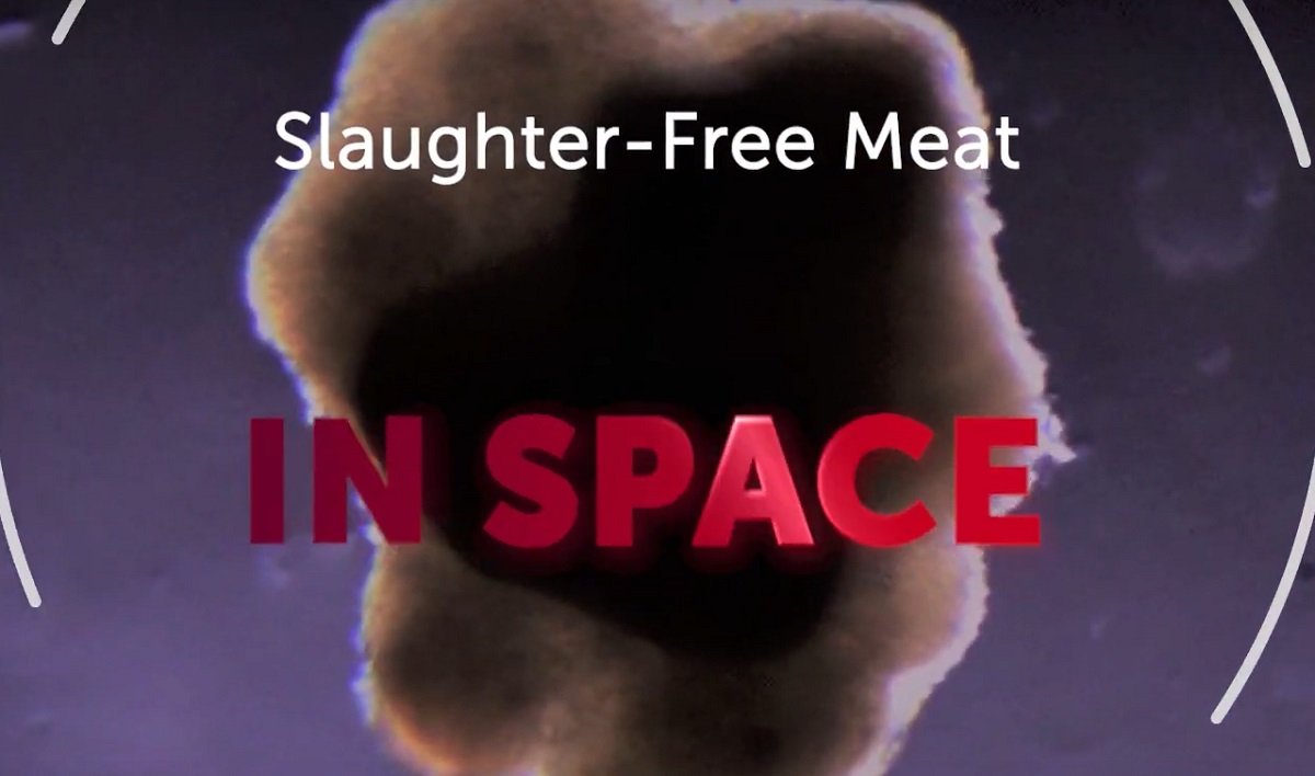 Slaughter-free Meat