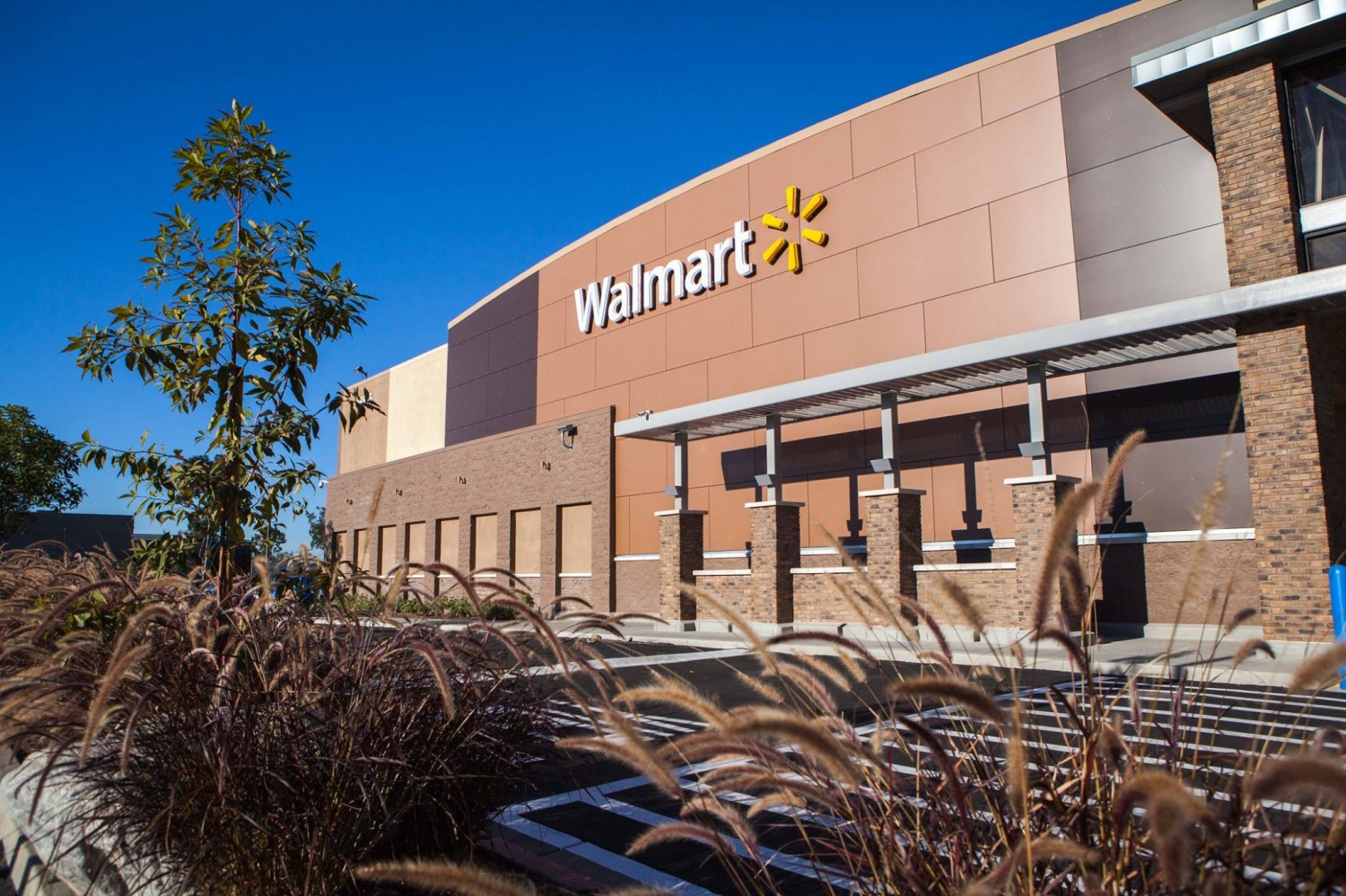 Black Friday 2019: Go Tech-Crazy with the Best Walmart Deals | Tech Times