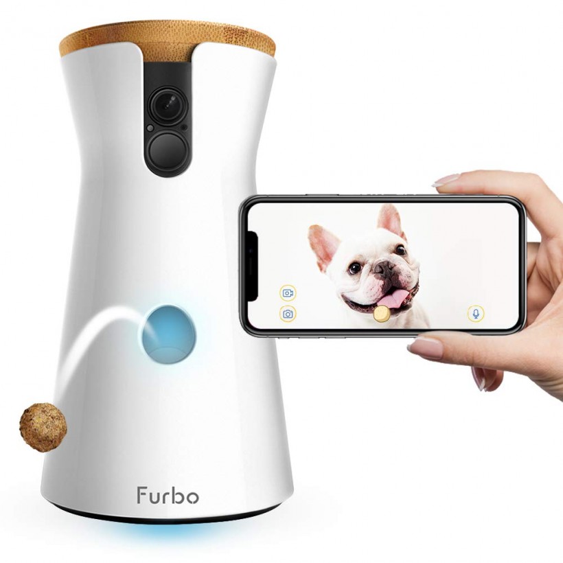 This Alexa-Enabled Pet Camera That Makes Treat-Tossing Possible While You’re Away