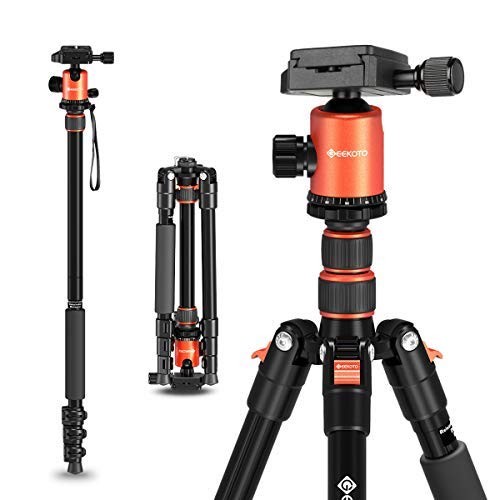 This Compact Tripod Is Ideal for Vlog, Travel, and Work