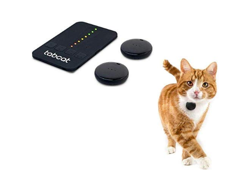 Never Lose Your Pets! These Pet Trackers from Amazon 2020 Make Sure Your Pets are Never Lost