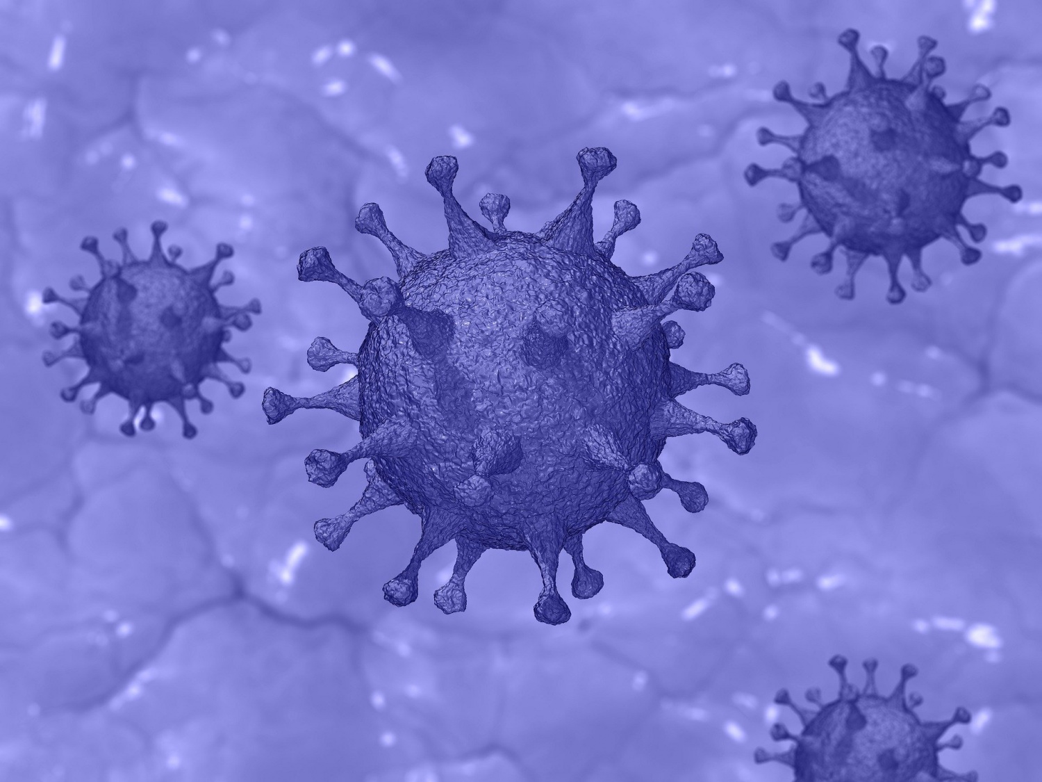 New Coronavirus Study Says the Virus Can Stay Alive for Three Hours up to Three Days, Is 