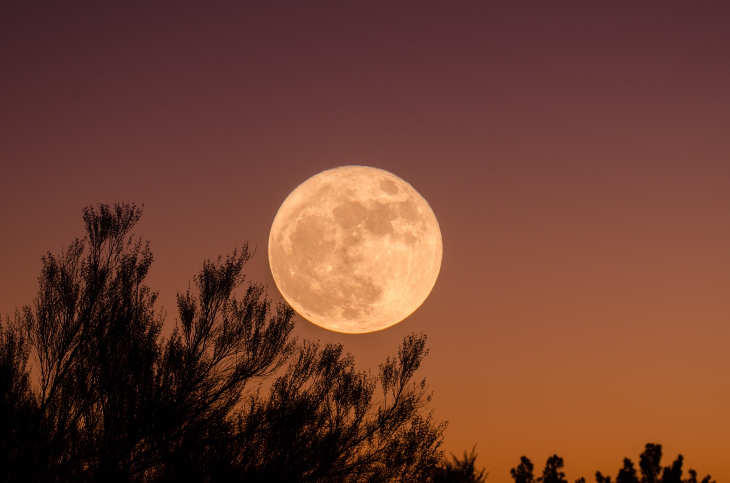 When To See Supermoon August 2024 - Dede Monica