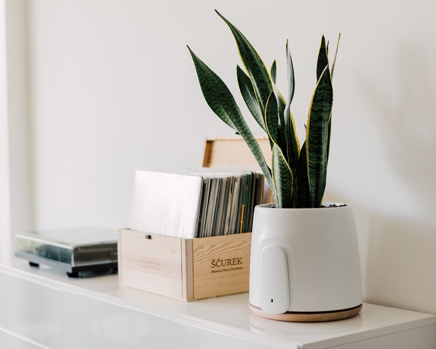 Natede From Vitesy is the Air Purifier of the Future