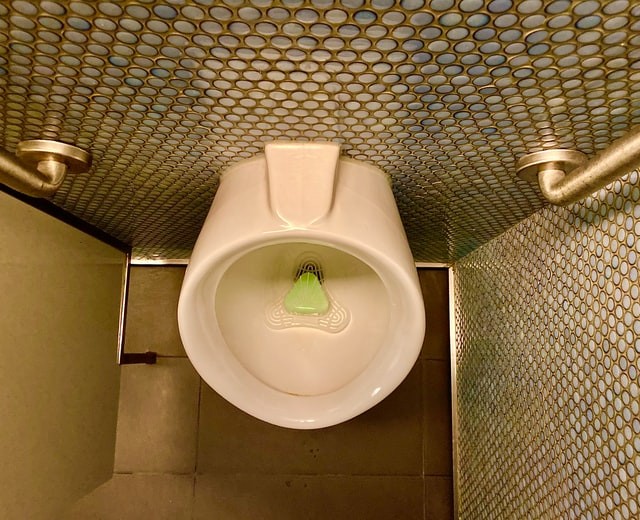 Coronavirus Analyzed By Smart Toilets Through Feces