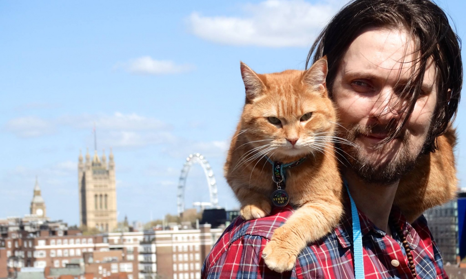 [VIRAL] A Street Cat Named Bob Bestselling Author James Bowen's Cat