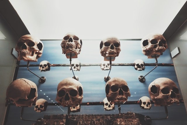 Human Skulls and Other Remains Looted in 2013, Sold in Black Market on Facebook