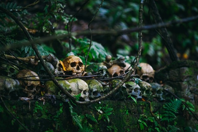Human Skulls and Other Remains Looted in 2013, Sold in Black Market on Facebook
