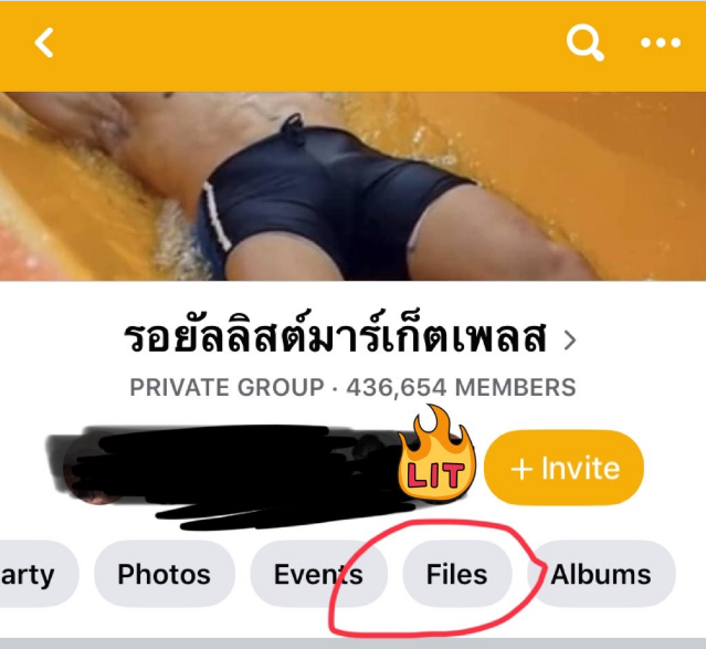 Facebook Complies With Thailand's Request for User Blockage Against 'Royalist Marketplace,' But Will Later Sue the Government