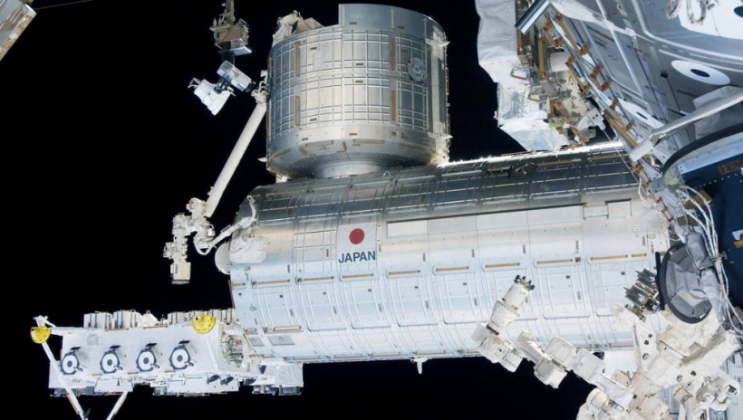 A New Japanese Research Reveals That A Ball of Bacteria Can Survive in Space for 3 Years
