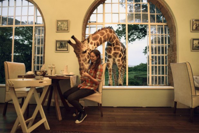 Looking for A Place to Stay? UK's New Luxury Hotel Lets You Come Up Close to Giraffes