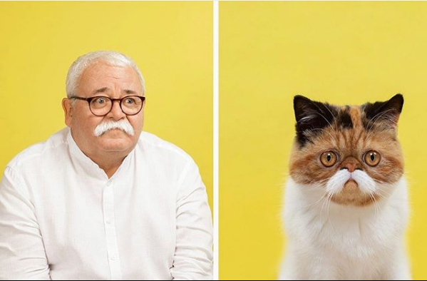 These Photos Reveal Cats' Human Versions; This Photographer's Project Will Amaze and Make You Laugh! 
