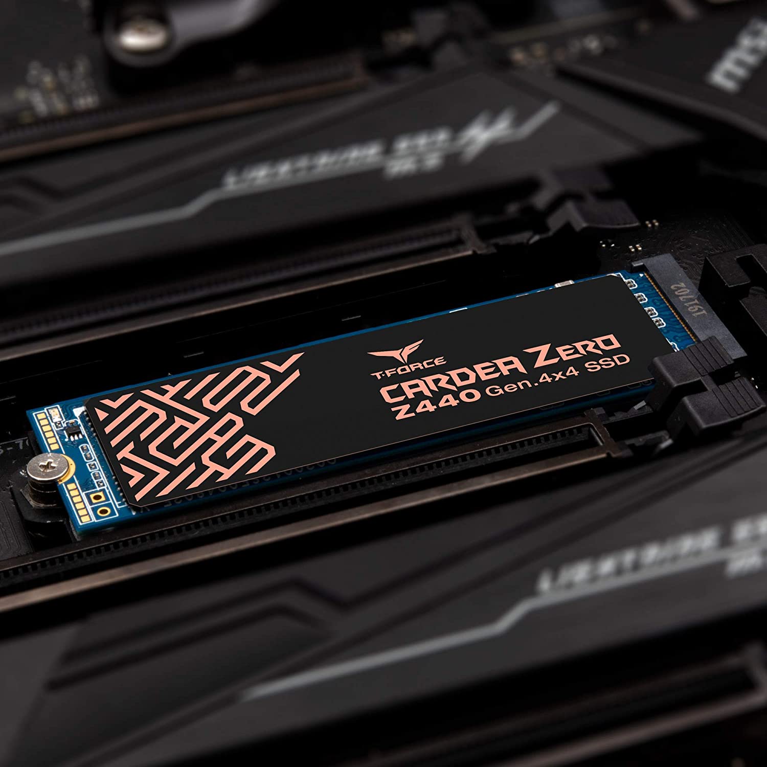 Top 5 Best SSDs of 2020 for Gaming to Video Editing From SATA to NVme! | Tech Times