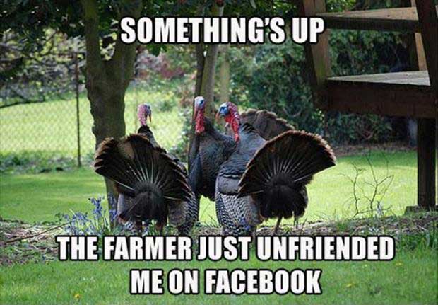 thanksgiving-meme.jpg