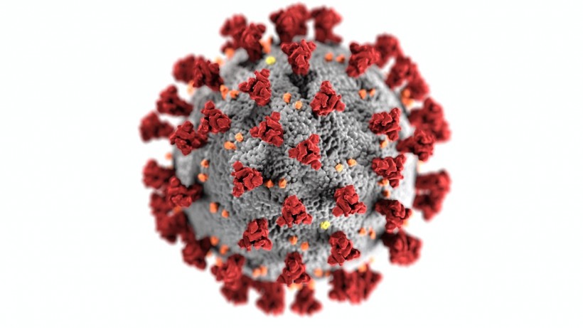 COVID-19 new mutant strain against coronavirus vaccine