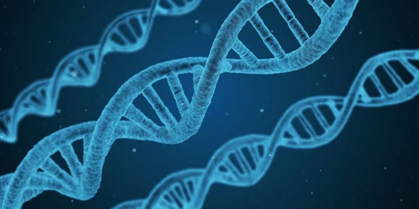 DNA Genes