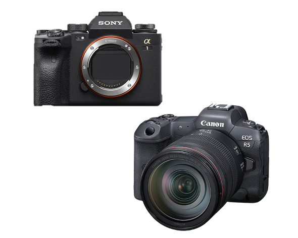 Sony A1 vs. Canon EOS R5 Mirrorless Camera 