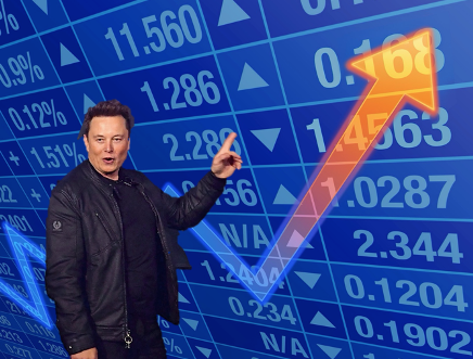 Elon Musk Stocks