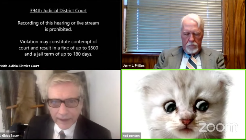 Oops! Lawyer Accidentally Uses Cat Filter During a Zoom Court Hearing and Clarifies 'I'm Not a Cat'