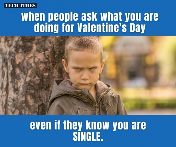 Funny Valentines Harry Potter Meme GIF