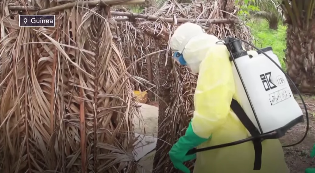Congo, Guinea Record Ebola Outbreak Re-Emergence, Might Affect COVID-19 Vaccine Rollout