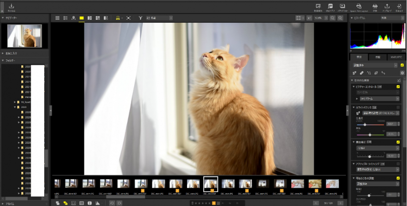 Nikon NX Studio Vs. Adobe Lightroom: Can This Free App Provide Better Editing? How to Install