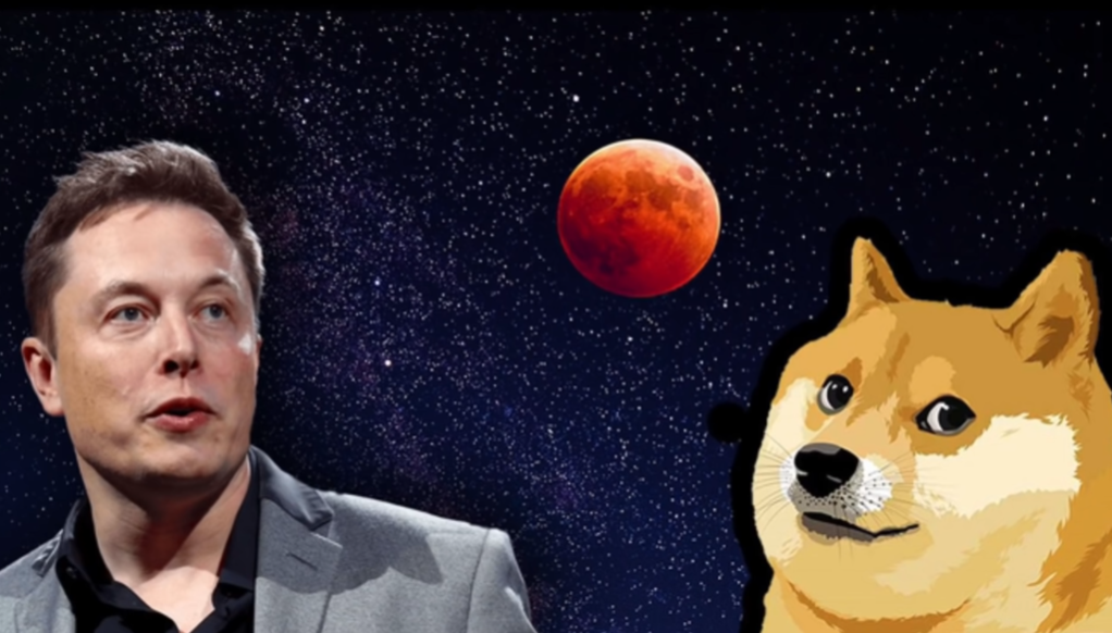 Elon Musk, Dogecoin to the Moon 
