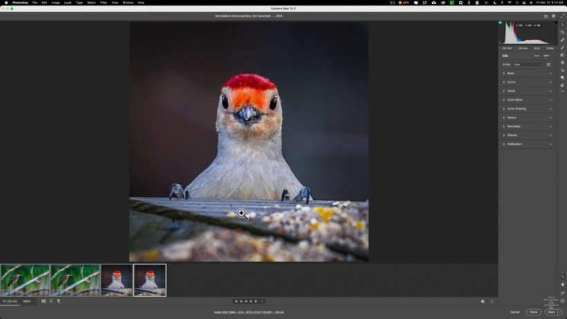 Adobe Photoshop's Super Resolution Unveils Glaring Problems--How to Use it