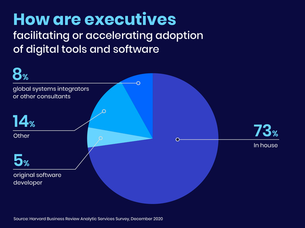 The rise of the digital adoption ecosystem