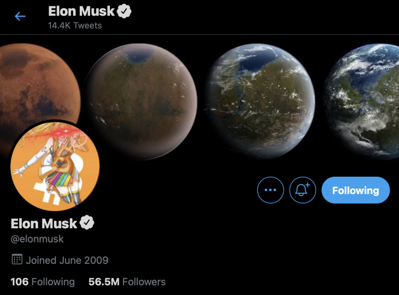 Elon Musk Changes Twitter Icon to Bitcoin Triggered Girl 