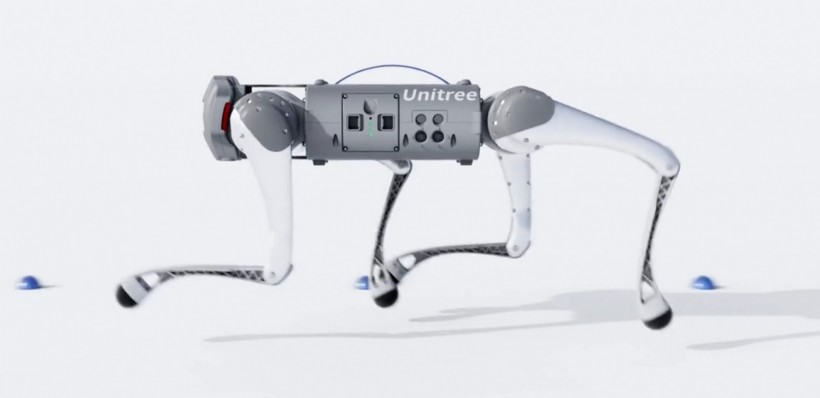 Unitree Go1 Robot Could Carry a Bottle of Water Just For You
