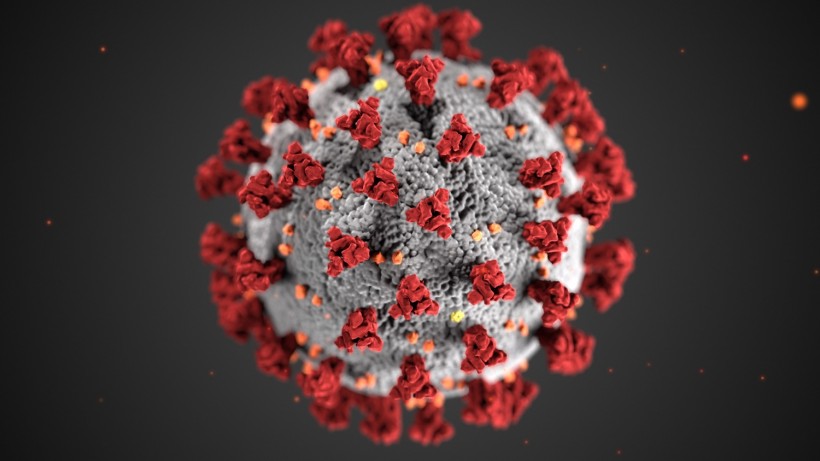 ‘Killer’ Coronavirus: WHO Expert Reveals ‘Chinese Colleagues' Developing ‘SARS-like’ Virus in a YouTube Video From a 2016 Forum 