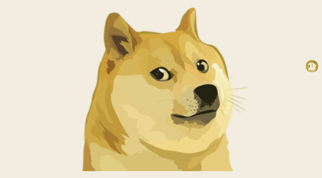 Dogecoin is A Bad Boy, and a Victim of Elon Musk's Bump and Dump Scheme, Says Analyst