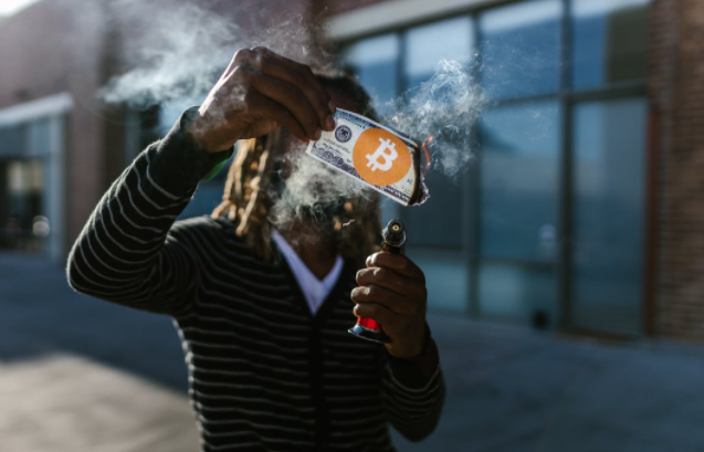 Scammers are Selling Fake Crypto Wallets that Can Steal Coins | Ledger Customers Targeted