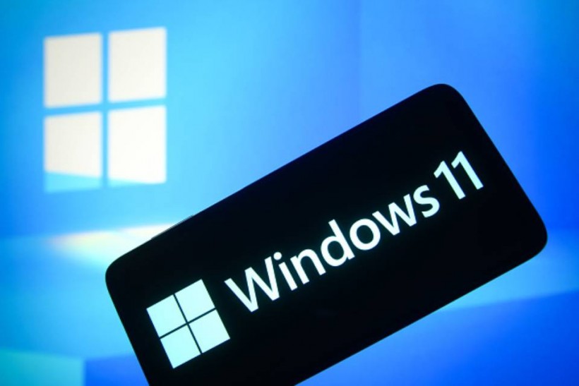 Windows 11 logo 