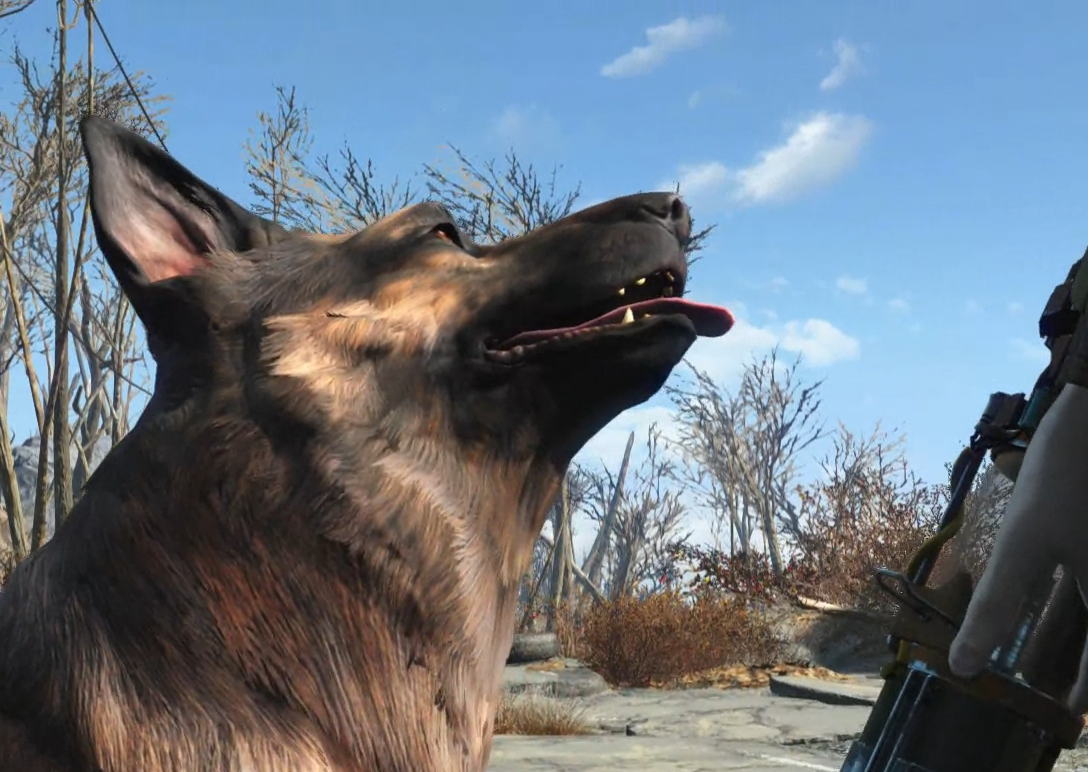 'Fallout 4's' Dogmeat Dies in Real Life | R.I.P. River