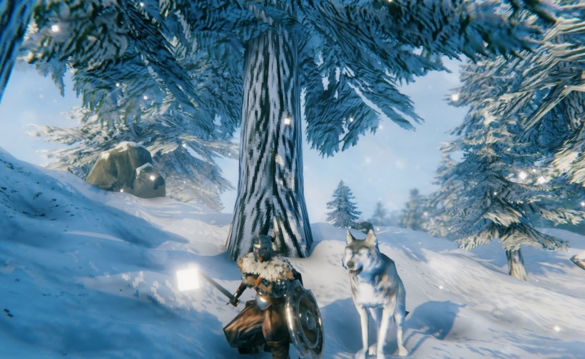 'Valheim' Punch Wolf Mod: Players Can Now Spar With Canines Through Virtual Reality     